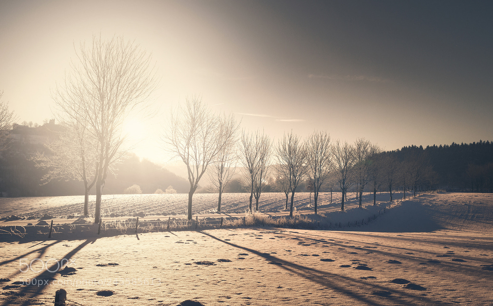 Sony SLT-A58 sample photo. Sauerland photography