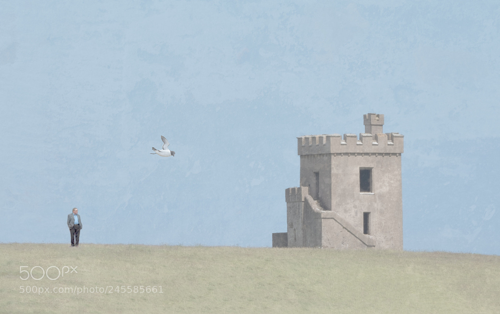 Fujifilm X-T2 sample photo. Castle on grass photography