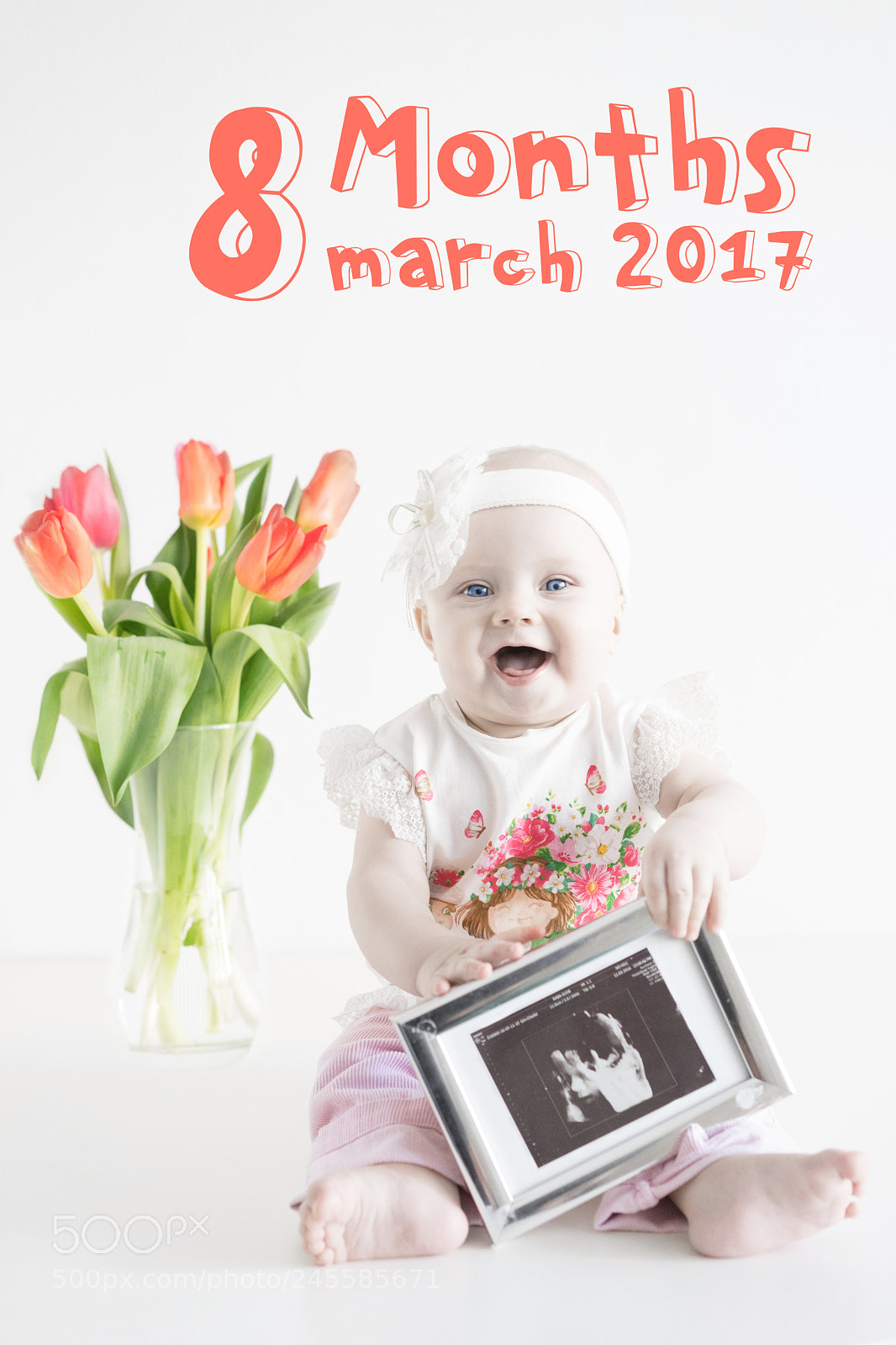 Sony a7 sample photo. Sofi photography