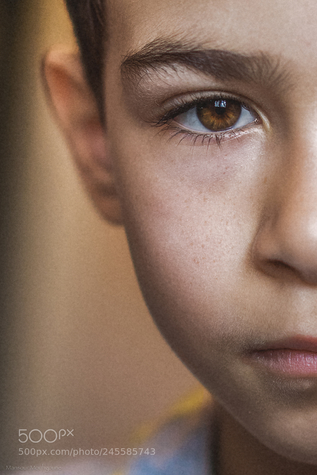Sony a7R sample photo. 1/2 photography