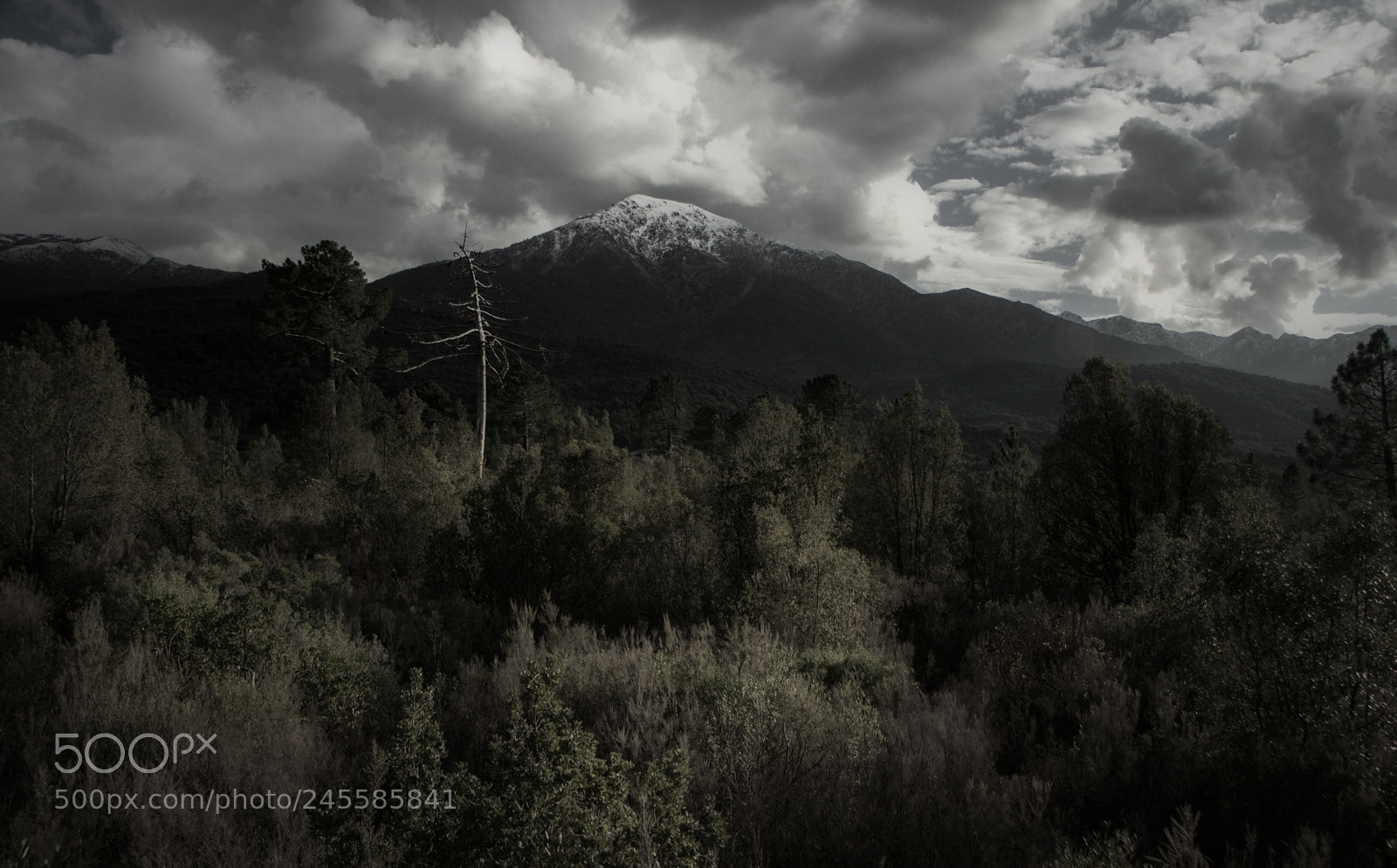 Nikon D610 sample photo. Like a western photography