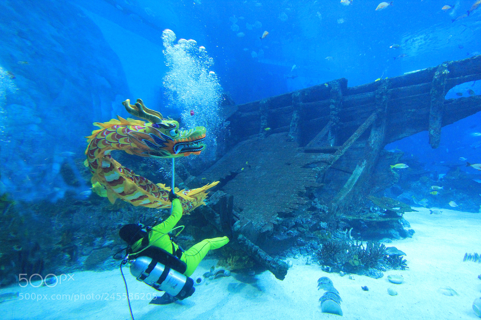 Canon EOS 60D sample photo. Underwater dragon dancing photography