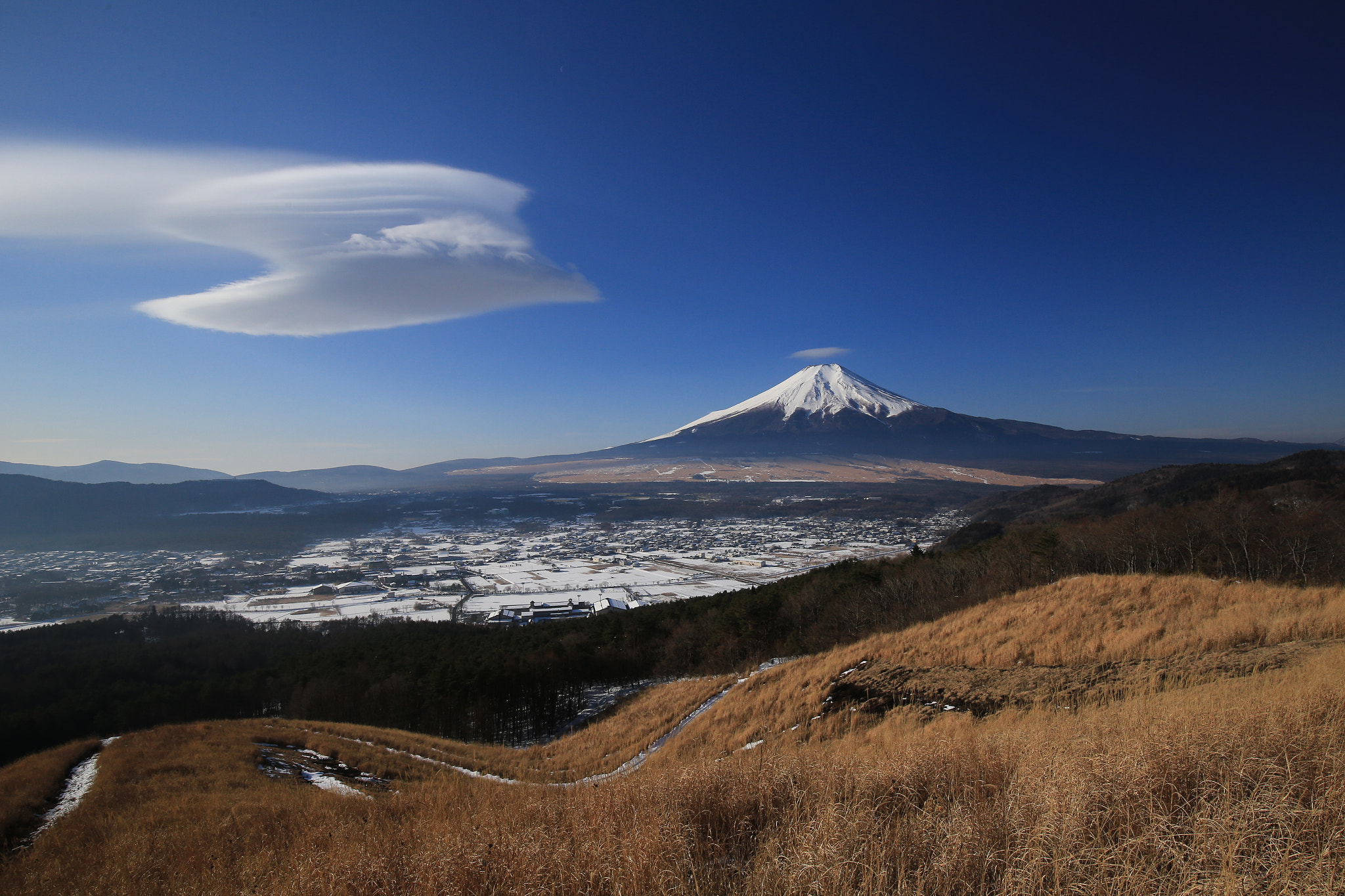 Canon EF 16-35mm F4L IS USM sample photo. Like a dolphin photography