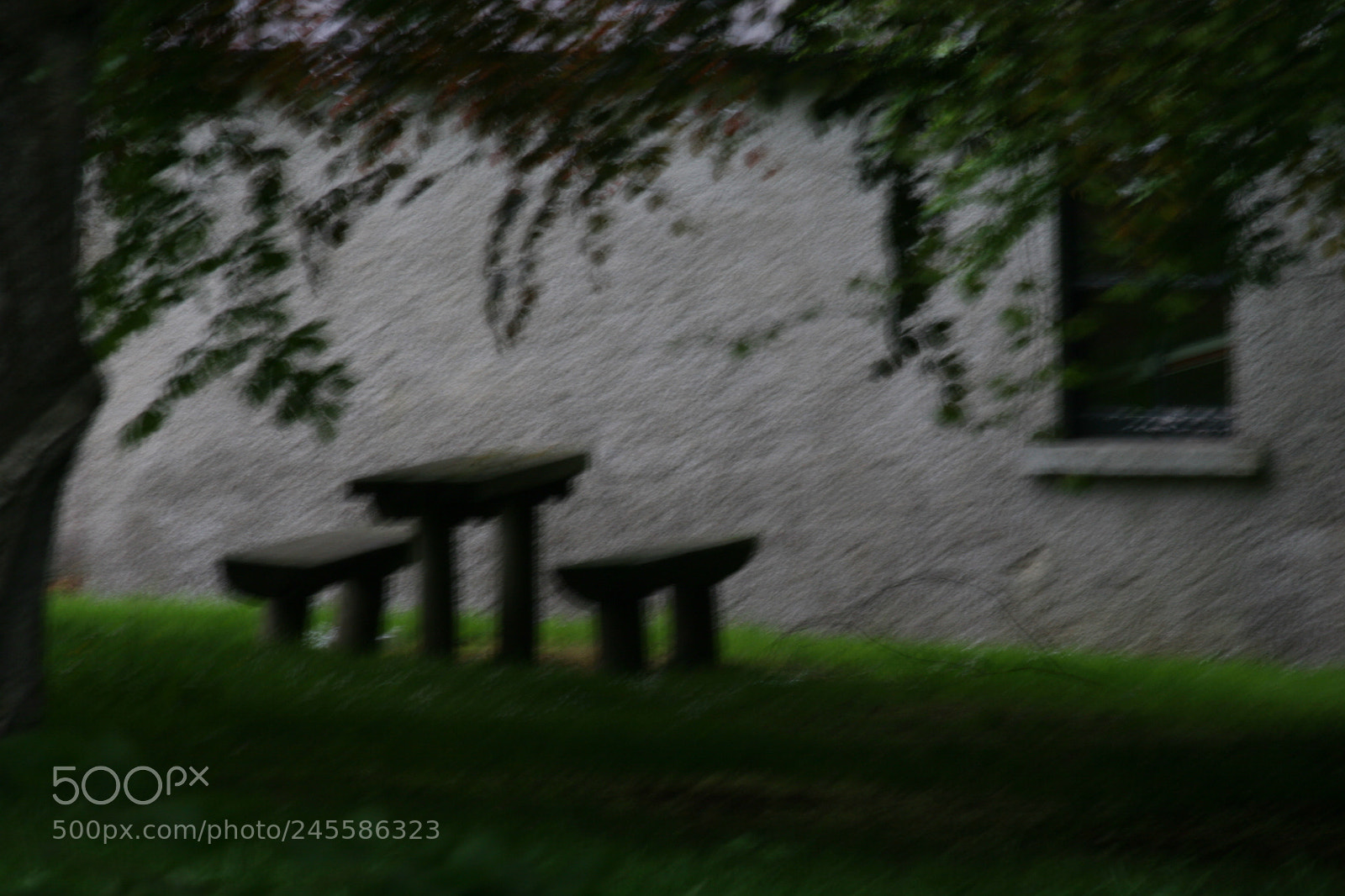 Canon EOS 20D sample photo. Untitled photography