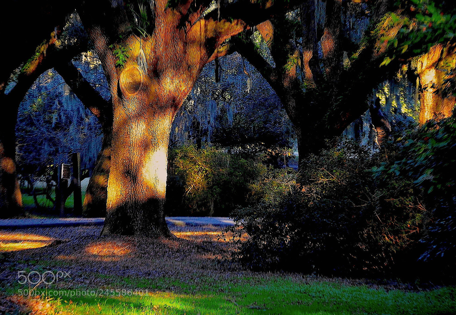 Nikon D5100 sample photo. Late afternoon light and photography