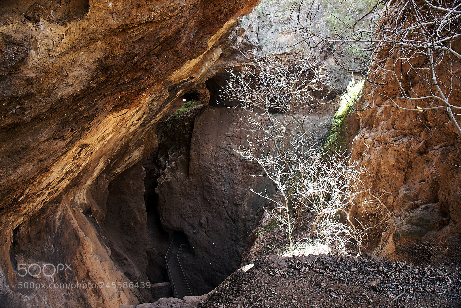 Sony Alpha DSLR-A700 sample photo. Earth colors photography