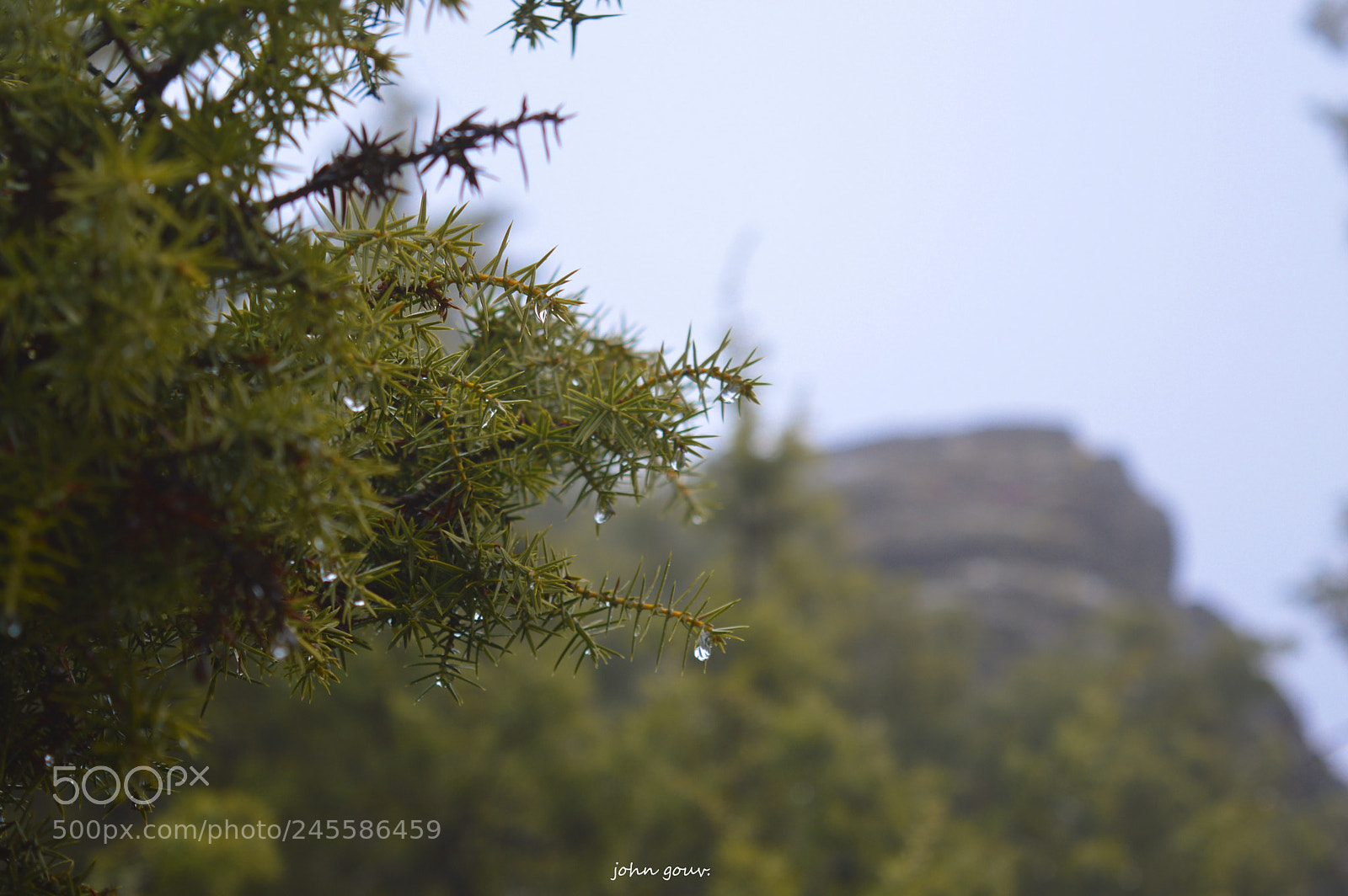 Nikon D3200 sample photo. Dropes photography