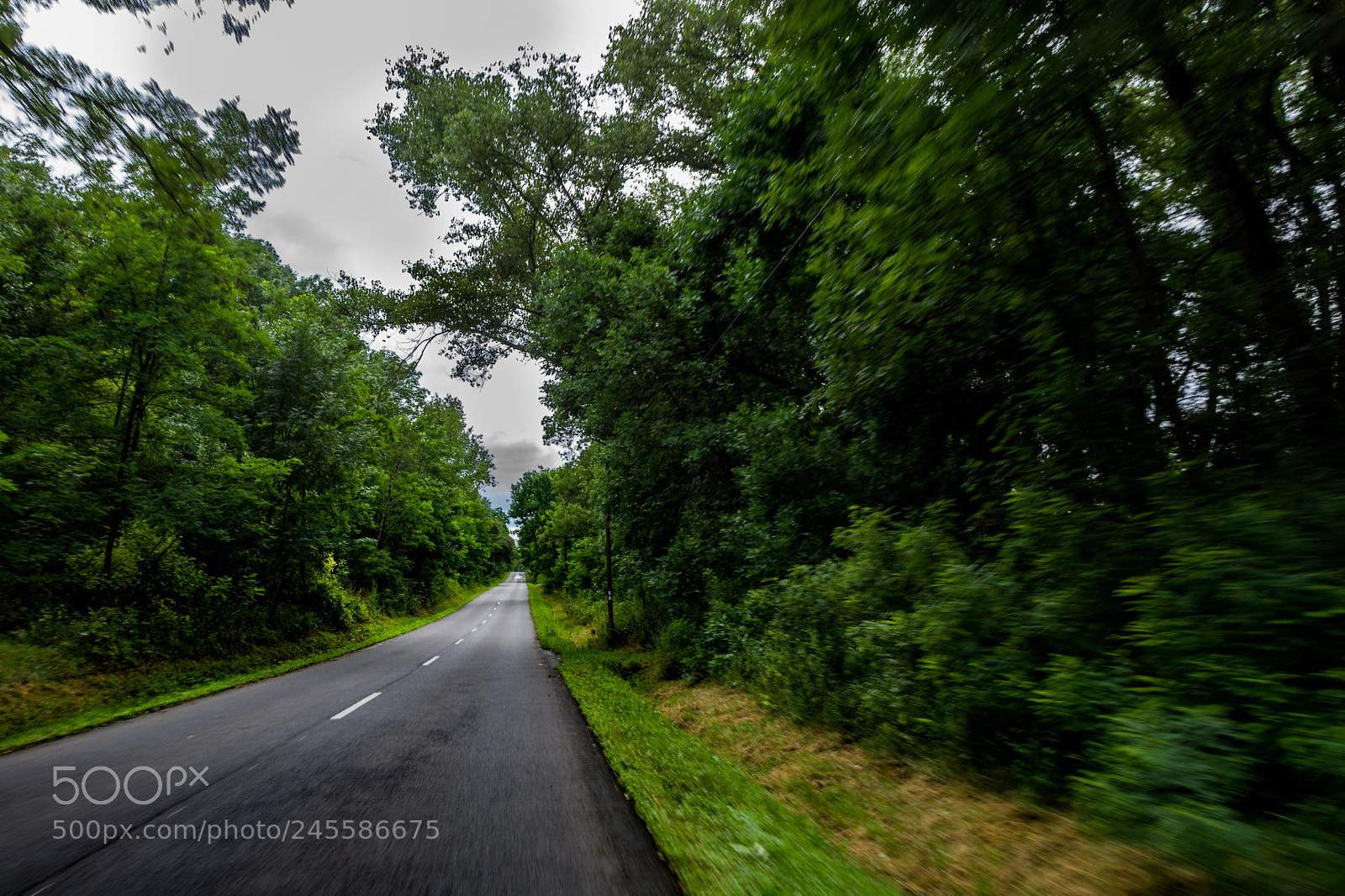 Nikon D5200 sample photo. Aggtelek photography