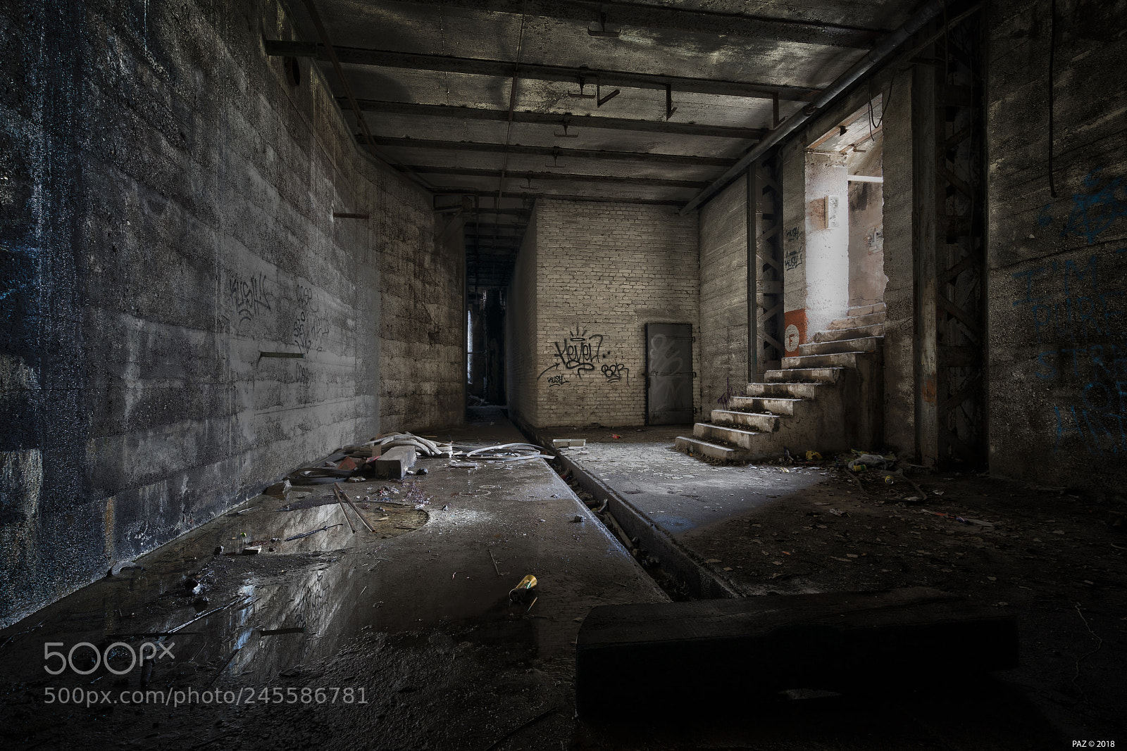 Sony a7R sample photo. Ignorance photography