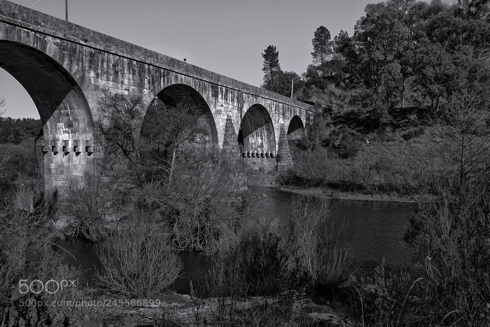 Fujifilm X-T10 sample photo. The bridge photography