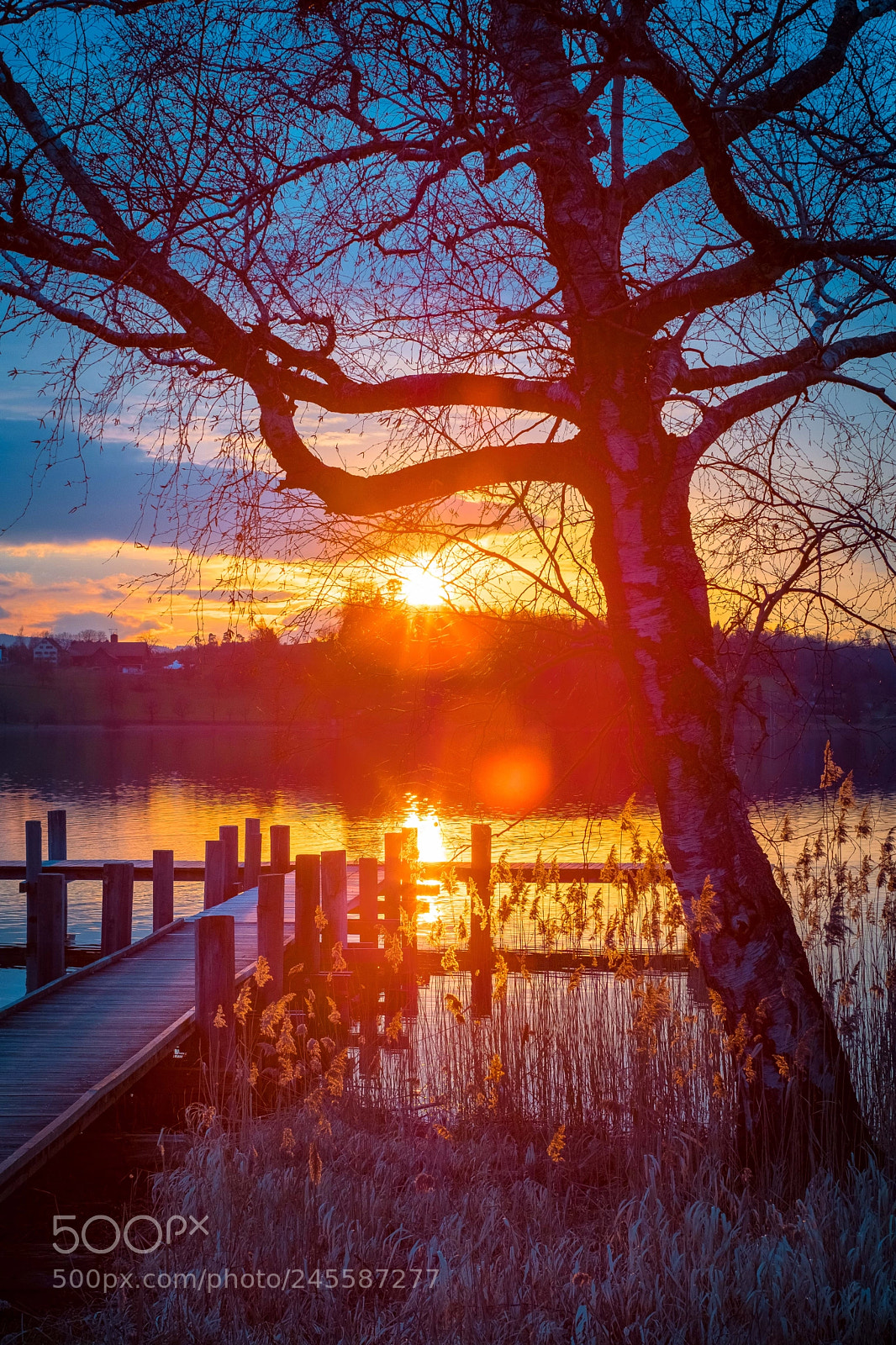 Fujifilm X-T2 sample photo. Sunset on swiss lake photography