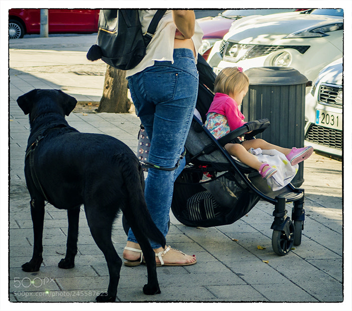 Olympus OM-D E-M1 Mark II sample photo. . photography
