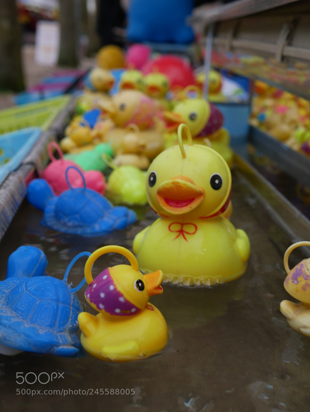 Panasonic Lumix DMC-GX85 (Lumix DMC-GX80 / Lumix DMC-GX7 Mark II) sample photo. Untitled photography