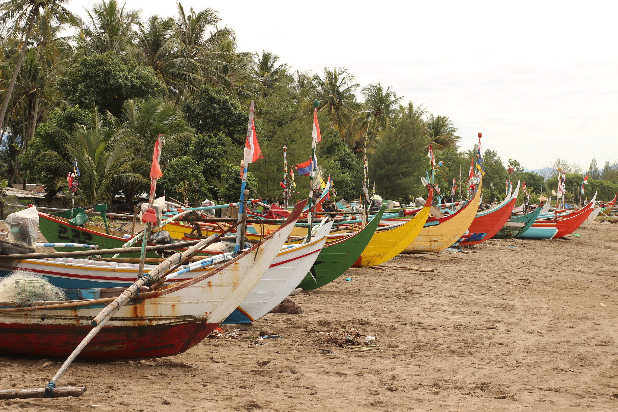 Canon 50mm sample photo