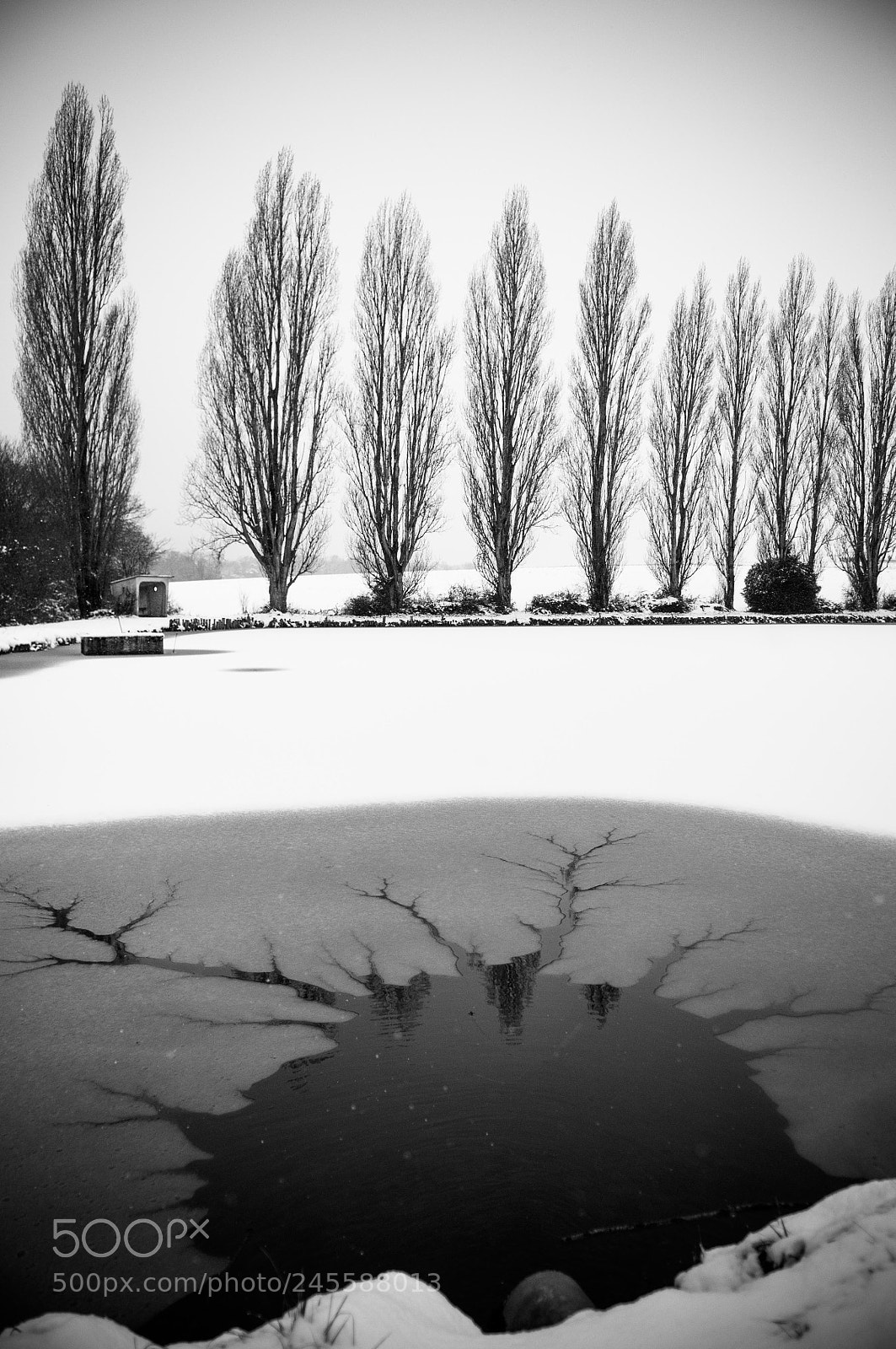 Nikon D300 sample photo. Untitled photography