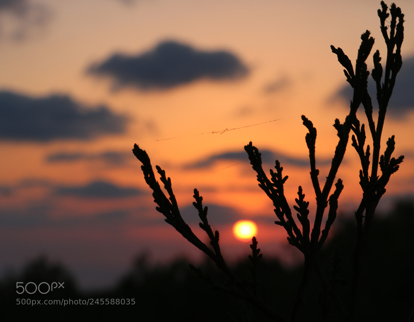 Canon EOS 750D (EOS Rebel T6i / EOS Kiss X8i) sample photo. The sun over the photography