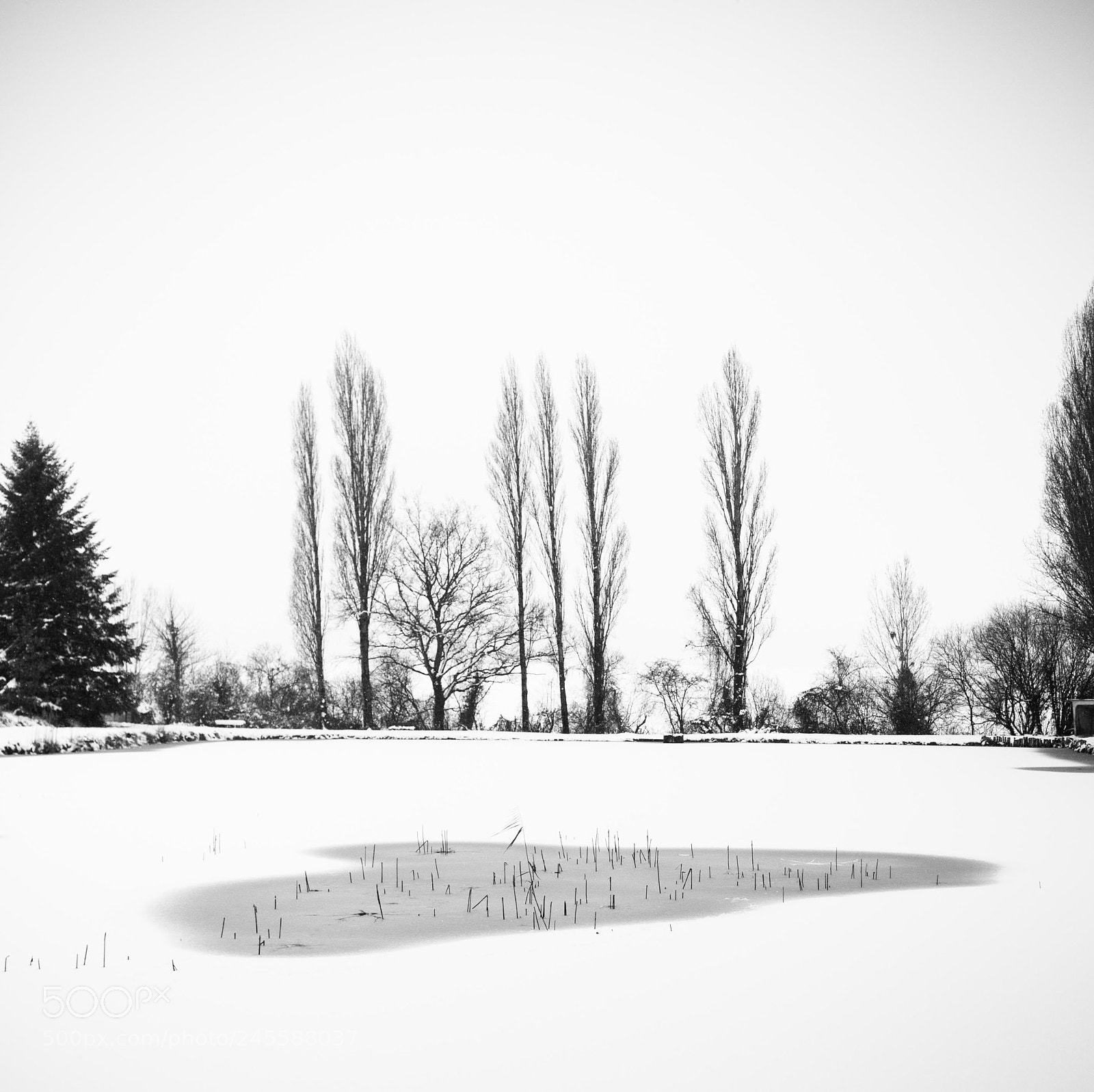 Nikon D300 sample photo. Untitled photography