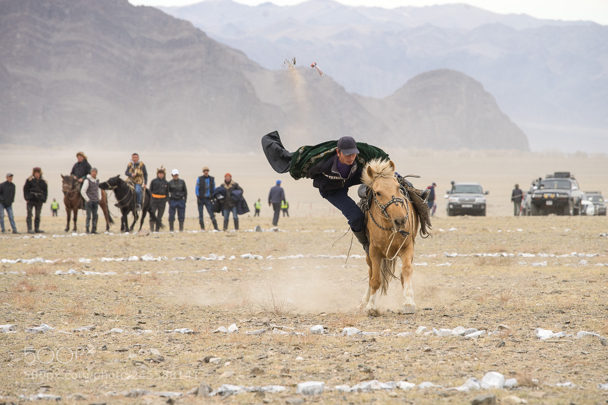 Sony a7 II sample photo. Golden eagle festival photography
