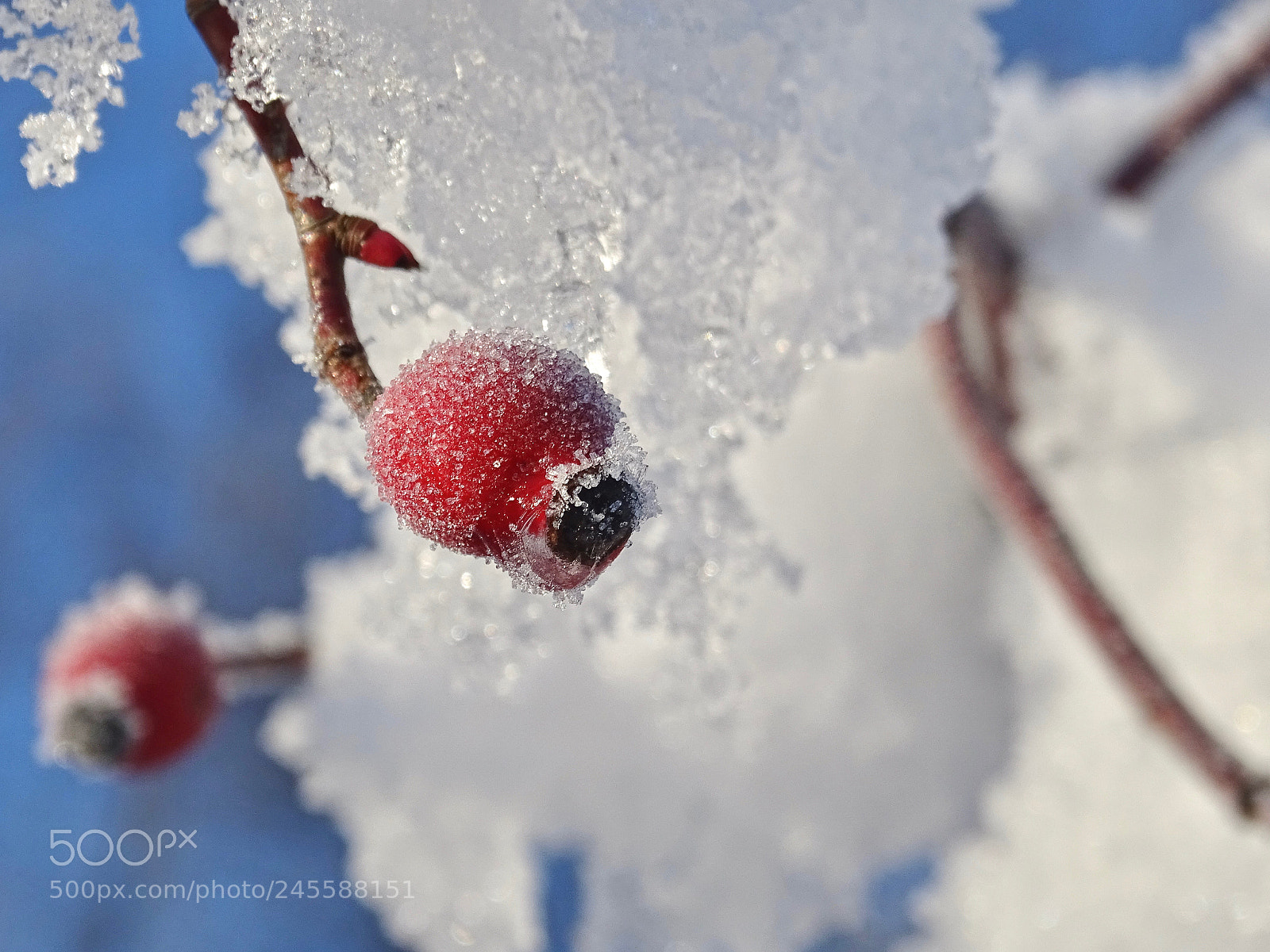 Sony Cyber-shot DSC-HX400V sample photo. Winter in colour photography
