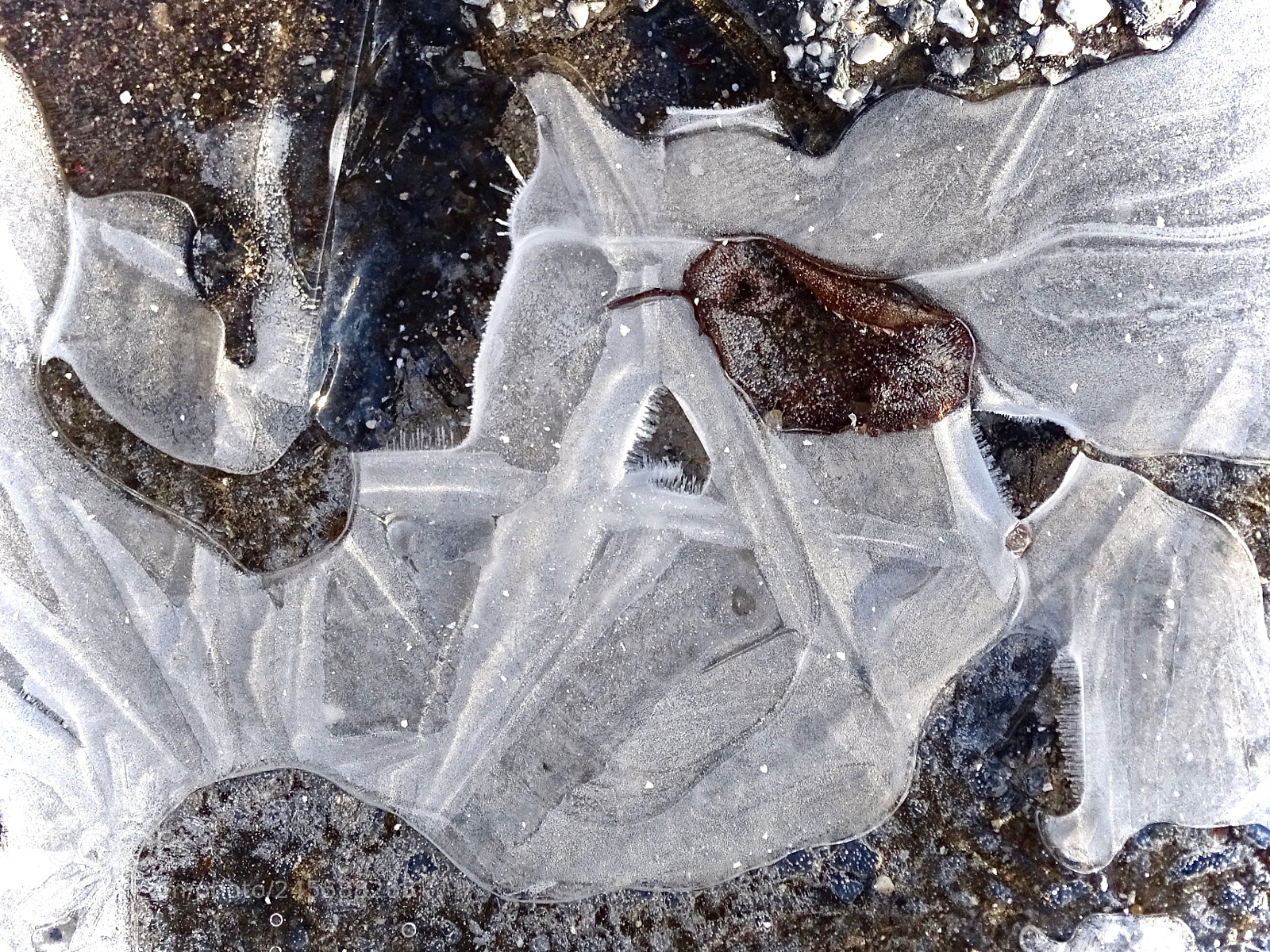 Sony Cyber-shot DSC-HX400V sample photo. Frozen a photography
