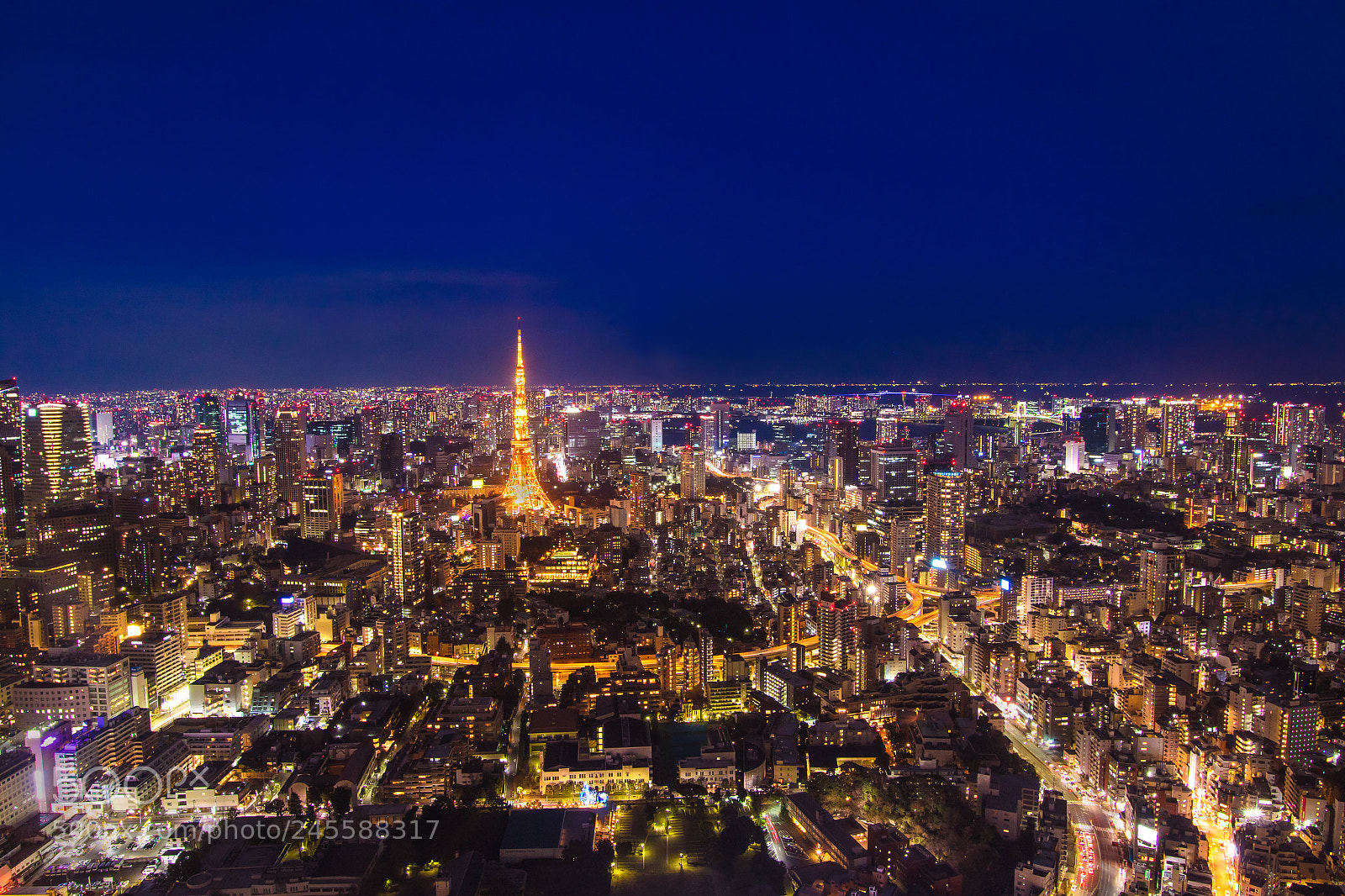 Canon EOS 7D Mark II sample photo. Tokyo city night view photography