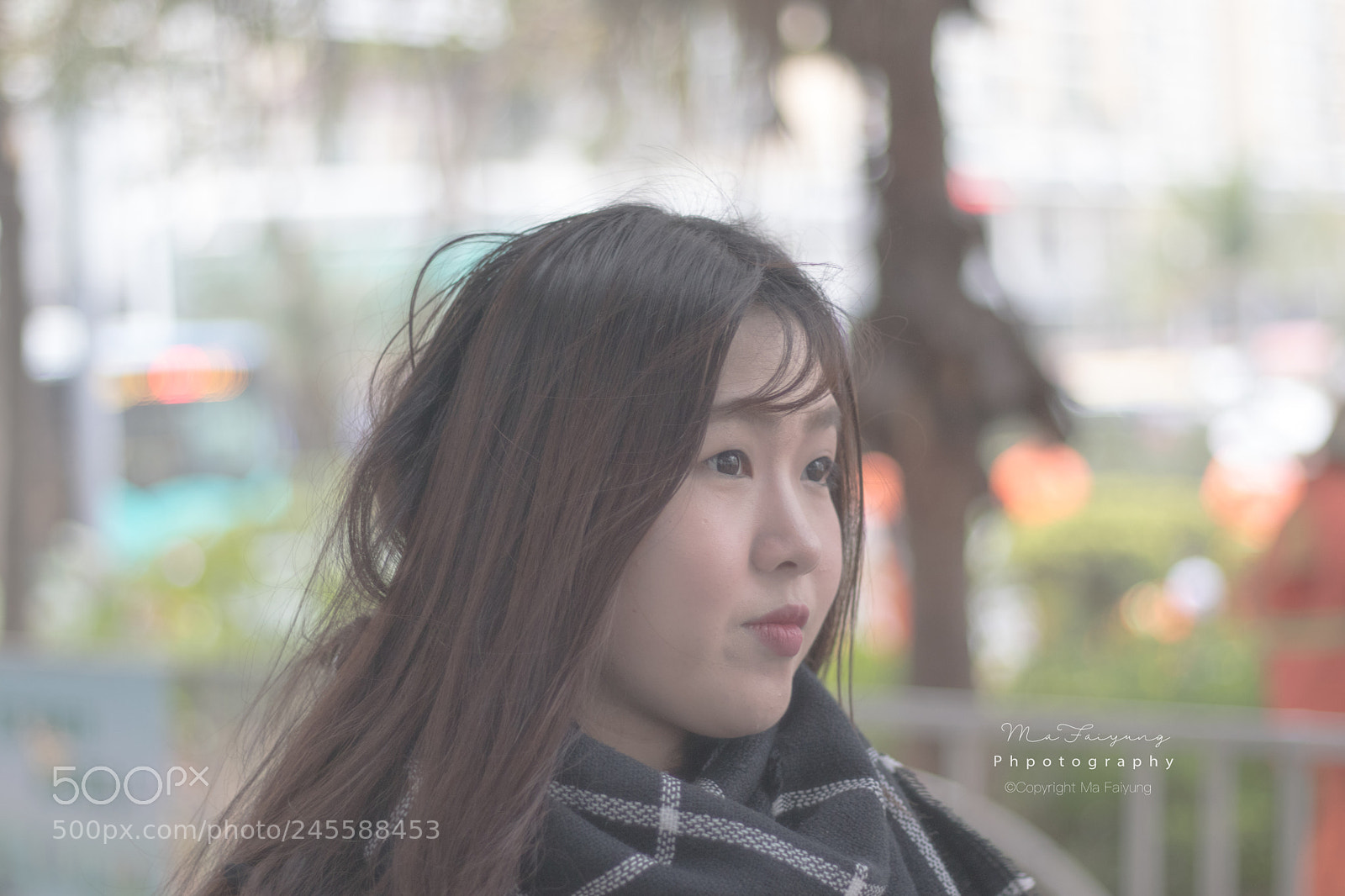 Canon EOS 77D (EOS 9000D / EOS 770D) sample photo. 小桥 photography