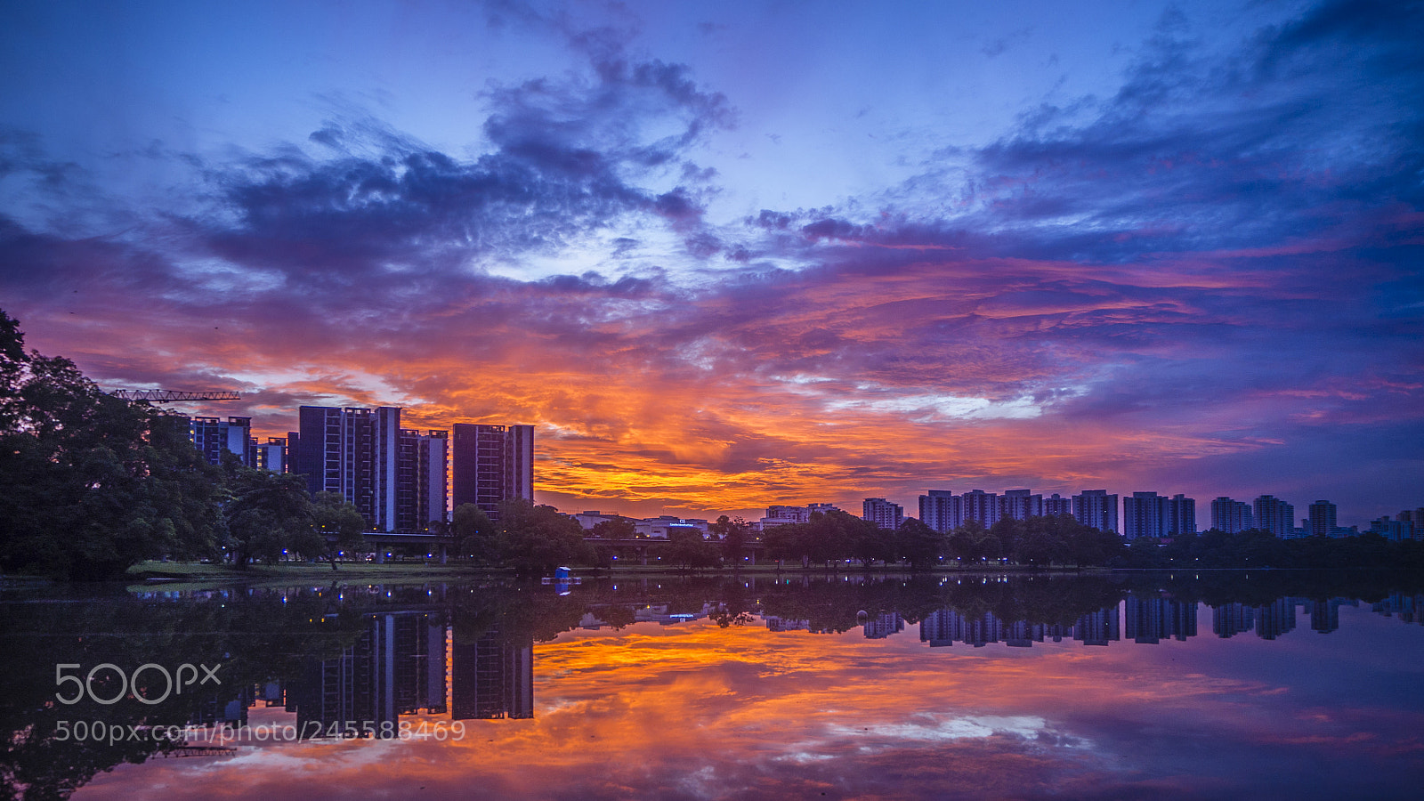 Olympus OM-D E-M10 II sample photo. Dawn at jurong lake photography