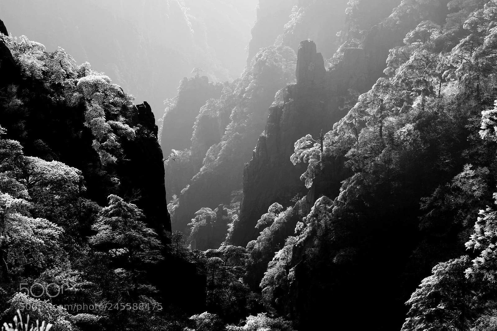 Canon EOS-1D X sample photo. Huang san in winter-2 photography
