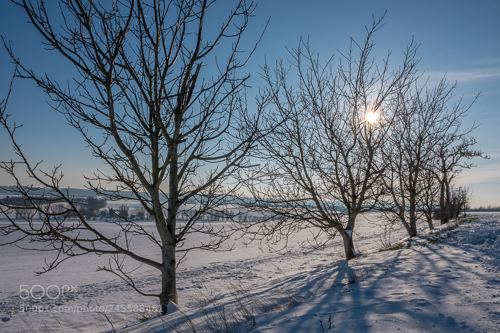 Fujifilm X-T20 sample photo. Great day photography