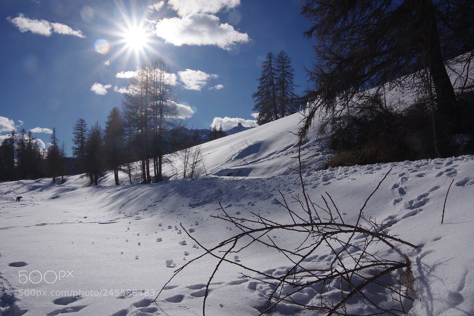 Pentax K-70 sample photo. Lac de roue, queyras photography