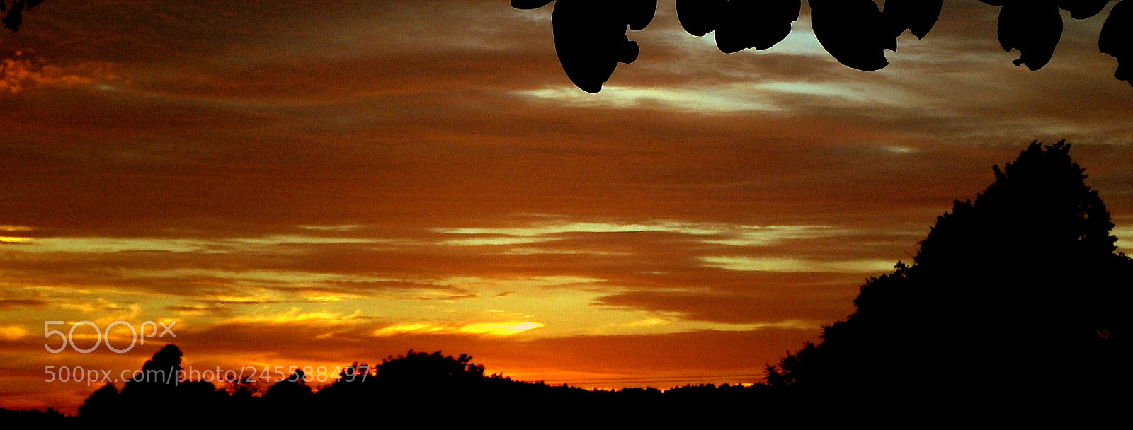 Fujifilm FinePix SL1000 sample photo. Big morning ... photography