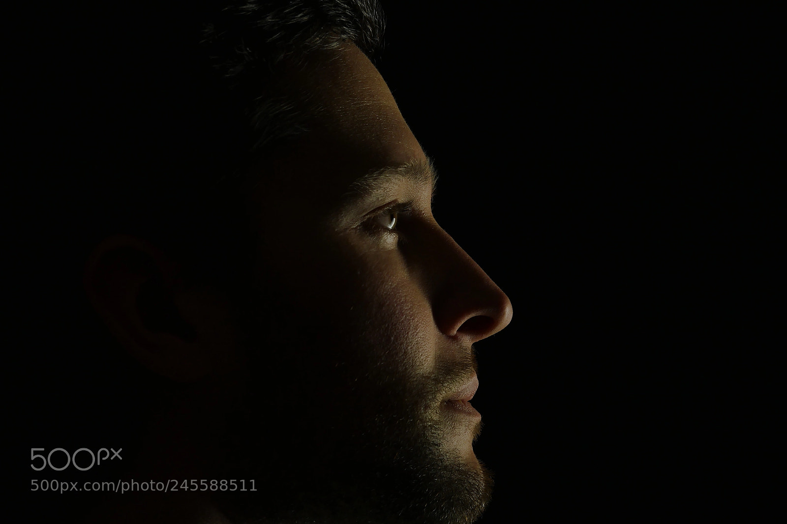 Panasonic Lumix DMC-GX8 sample photo. Autoportrait. photography