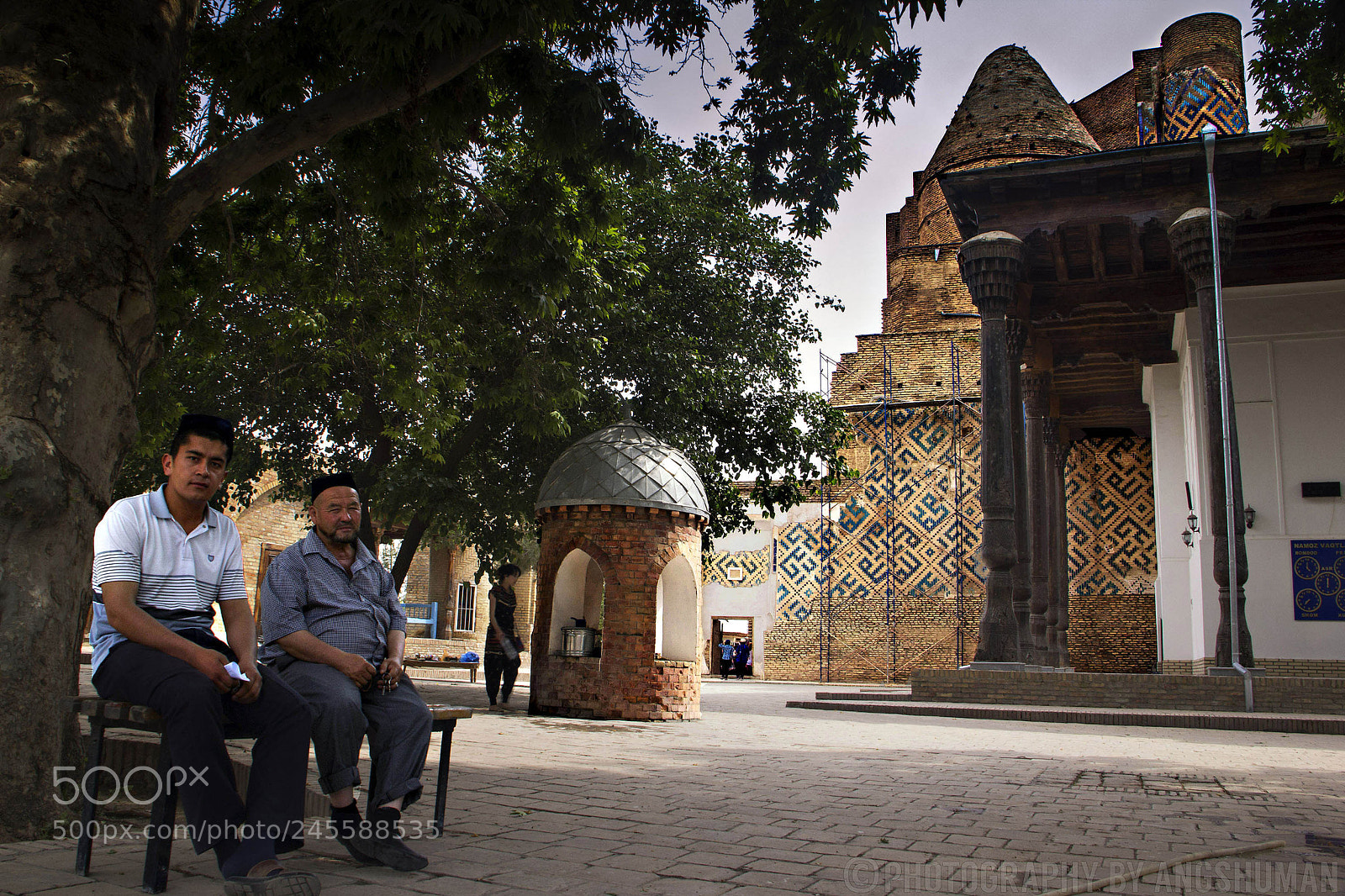 Canon EOS 60D sample photo. In the shadows of photography