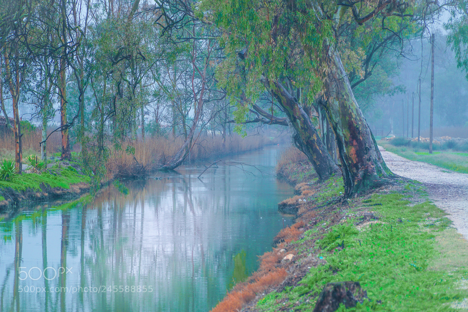 Sony a6500 sample photo. River photography