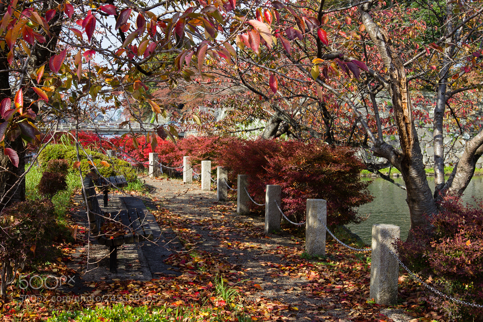 Canon EOS 600D (Rebel EOS T3i / EOS Kiss X5) sample photo. Couleurs d'automne photography