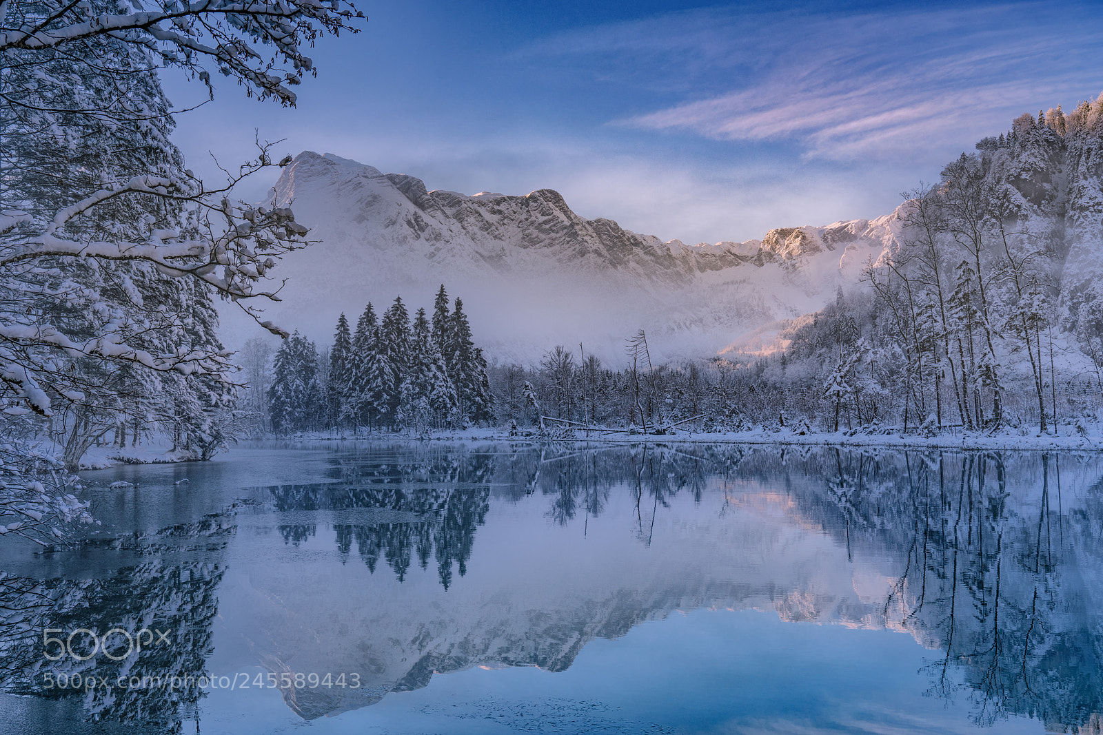 Sony a7R II sample photo. Almsee photography