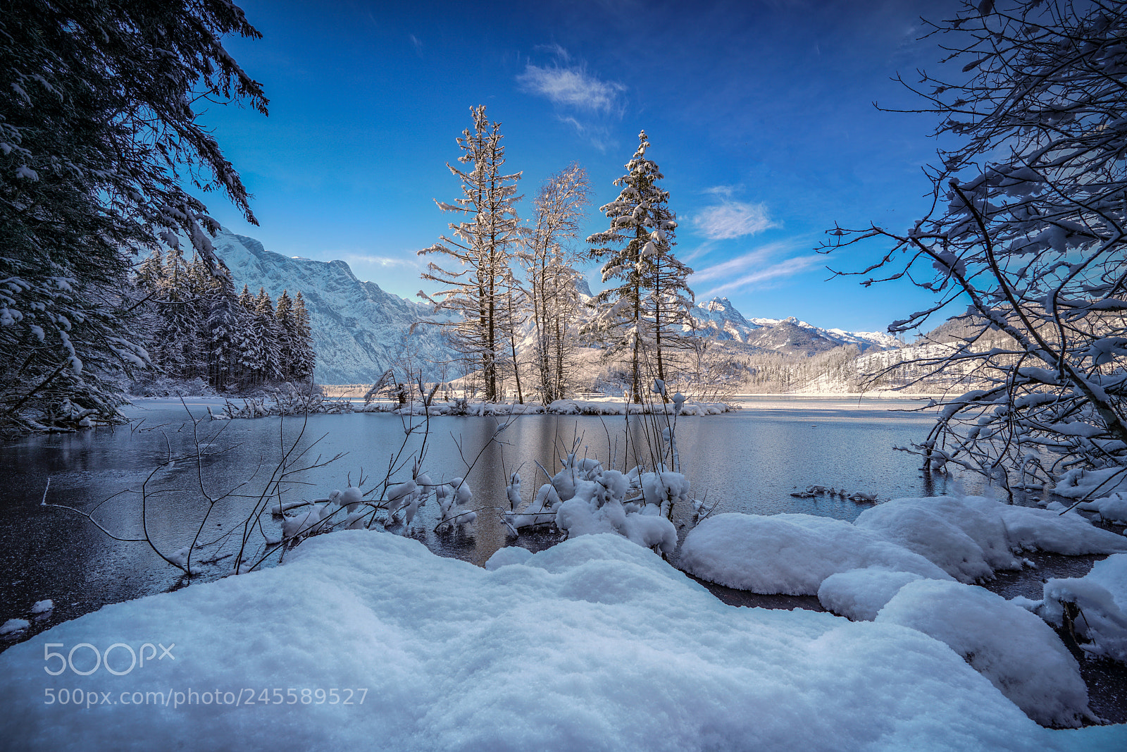 Sony a7R II sample photo. Almsee photography