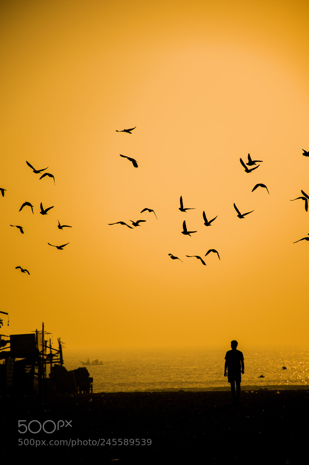 Nikon D5500 sample photo. Walk photography