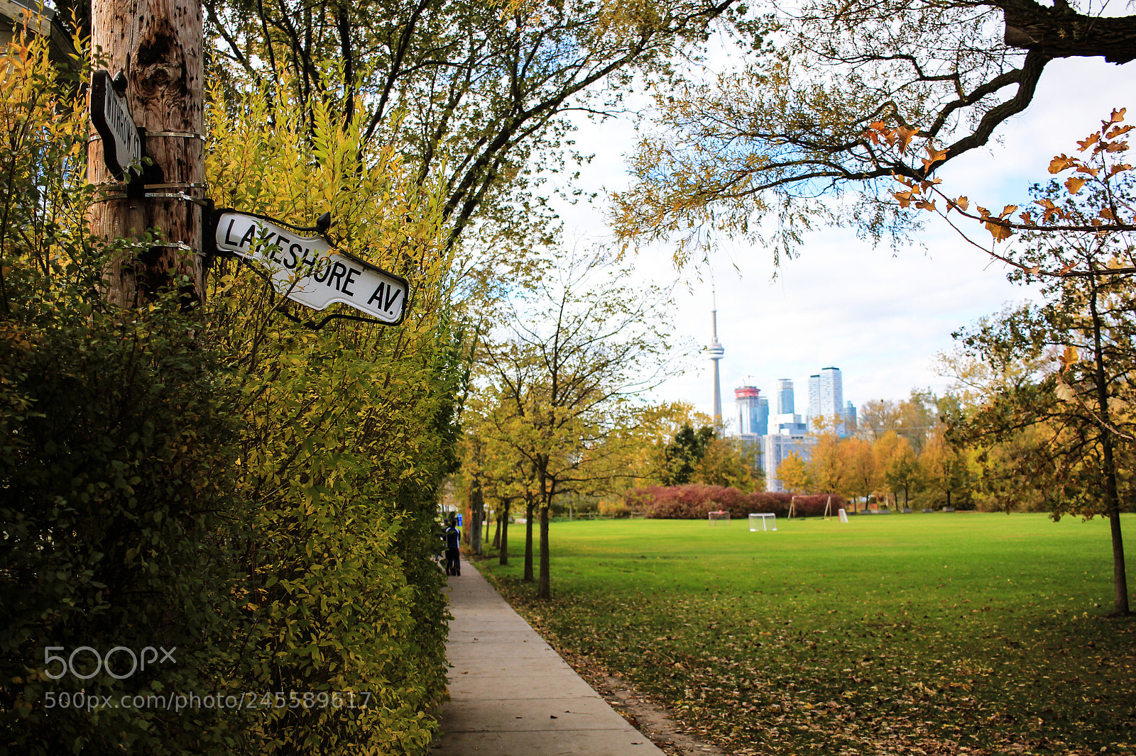 Canon EOS 550D (EOS Rebel T2i / EOS Kiss X4) sample photo. Toronto island photography