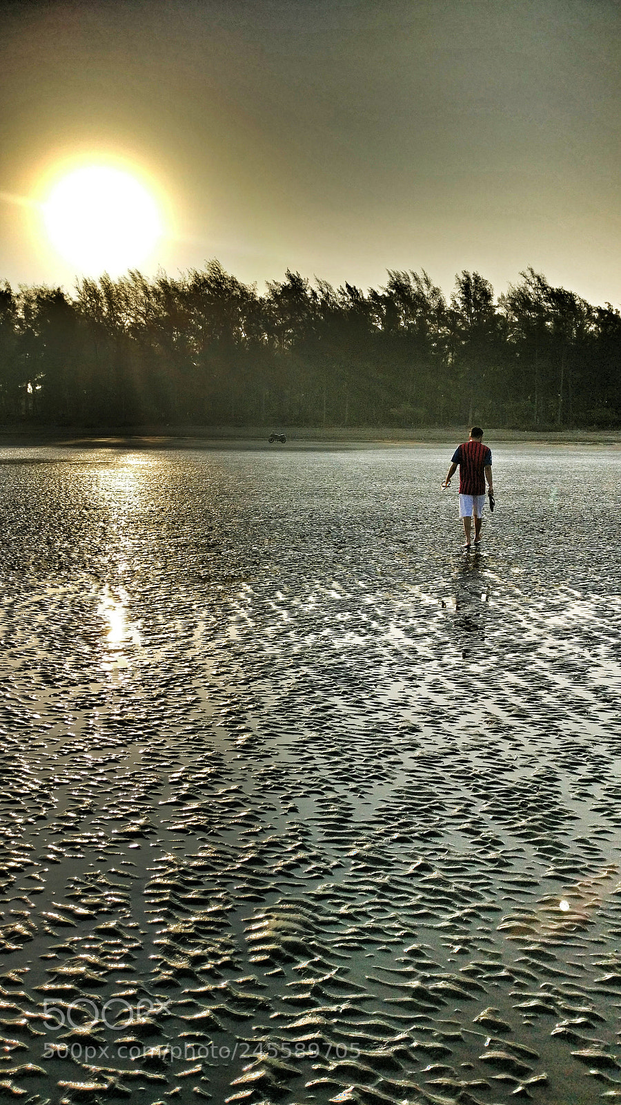 OnePlus A3003 sample photo. The sunset walk. photography