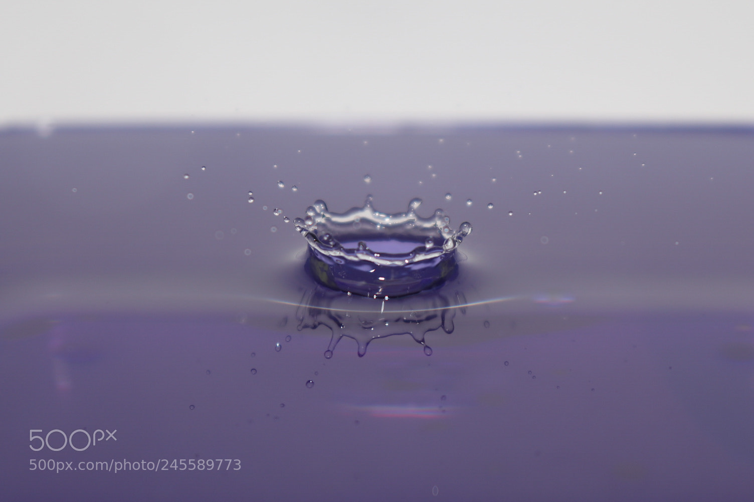Canon EOS 77D (EOS 9000D / EOS 770D) sample photo. Untitled photography