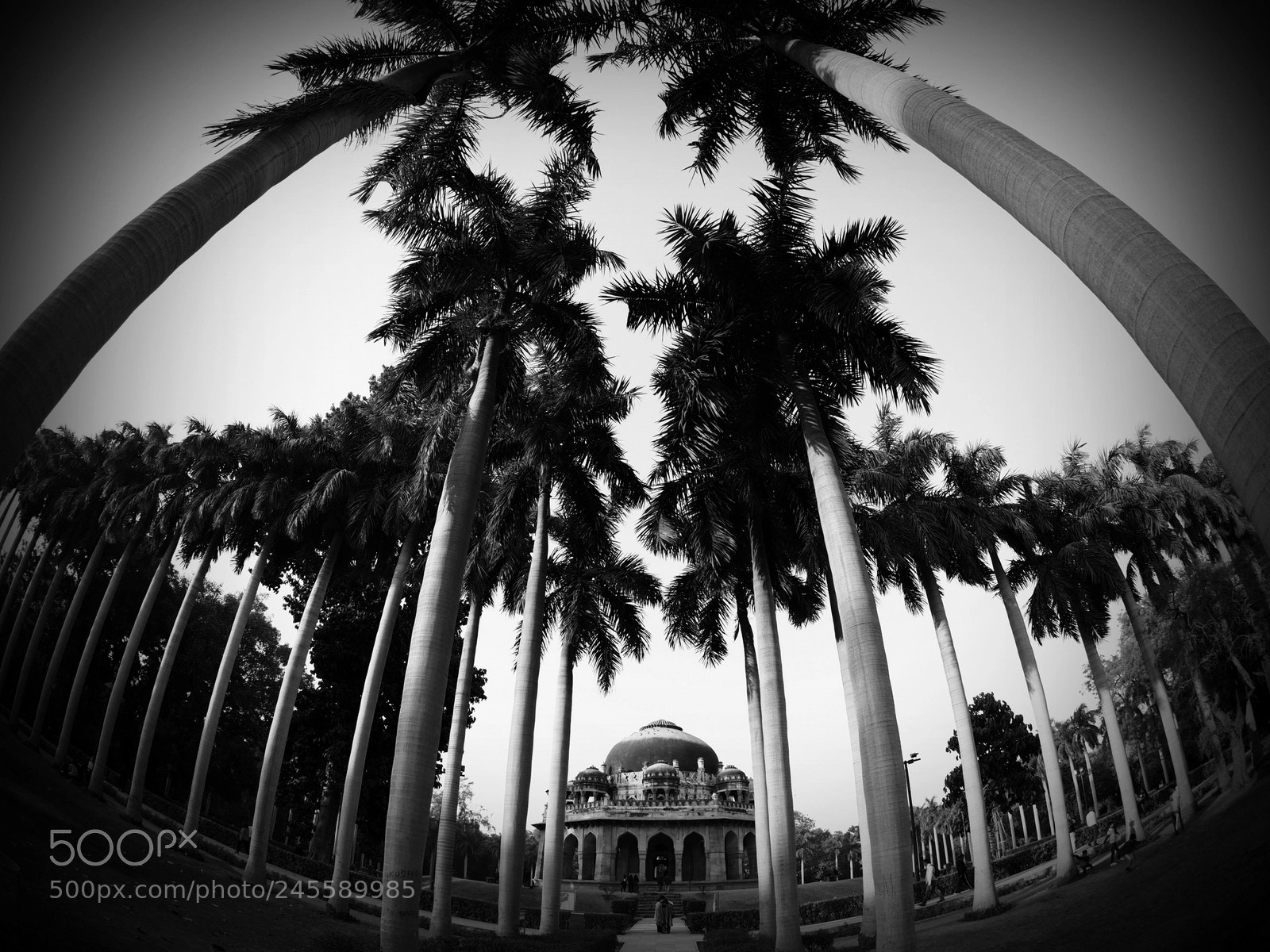 Olympus OM-D E-M1 Mark II sample photo. Lodhi garden photography