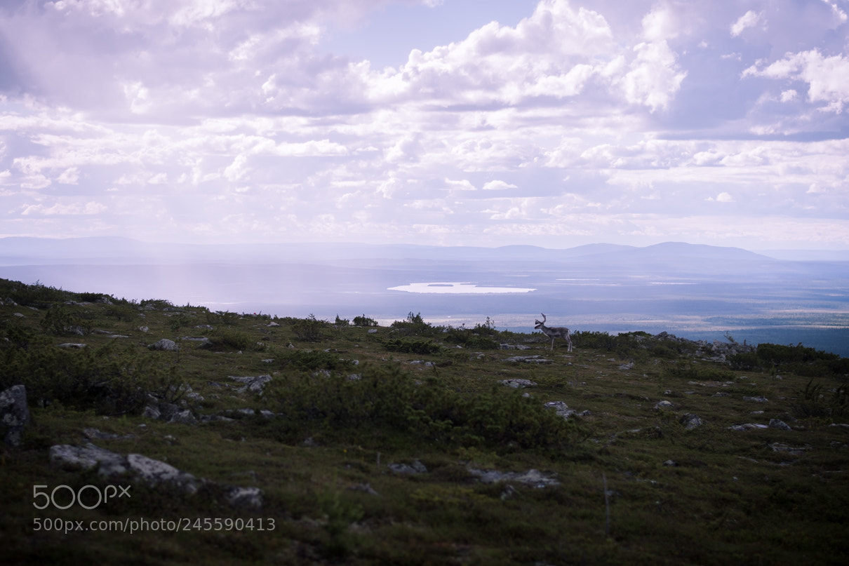 Nikon D7200 sample photo. Wilderness photography