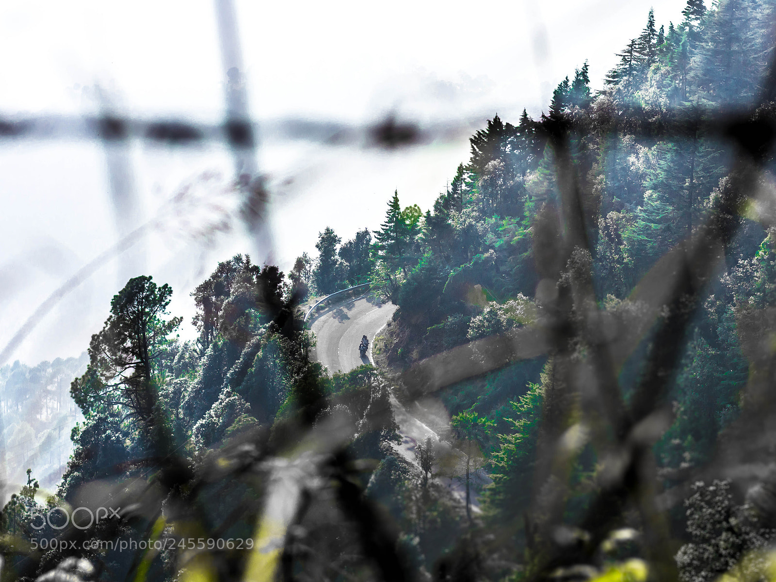 Nikon D5200 sample photo. Evolve photography