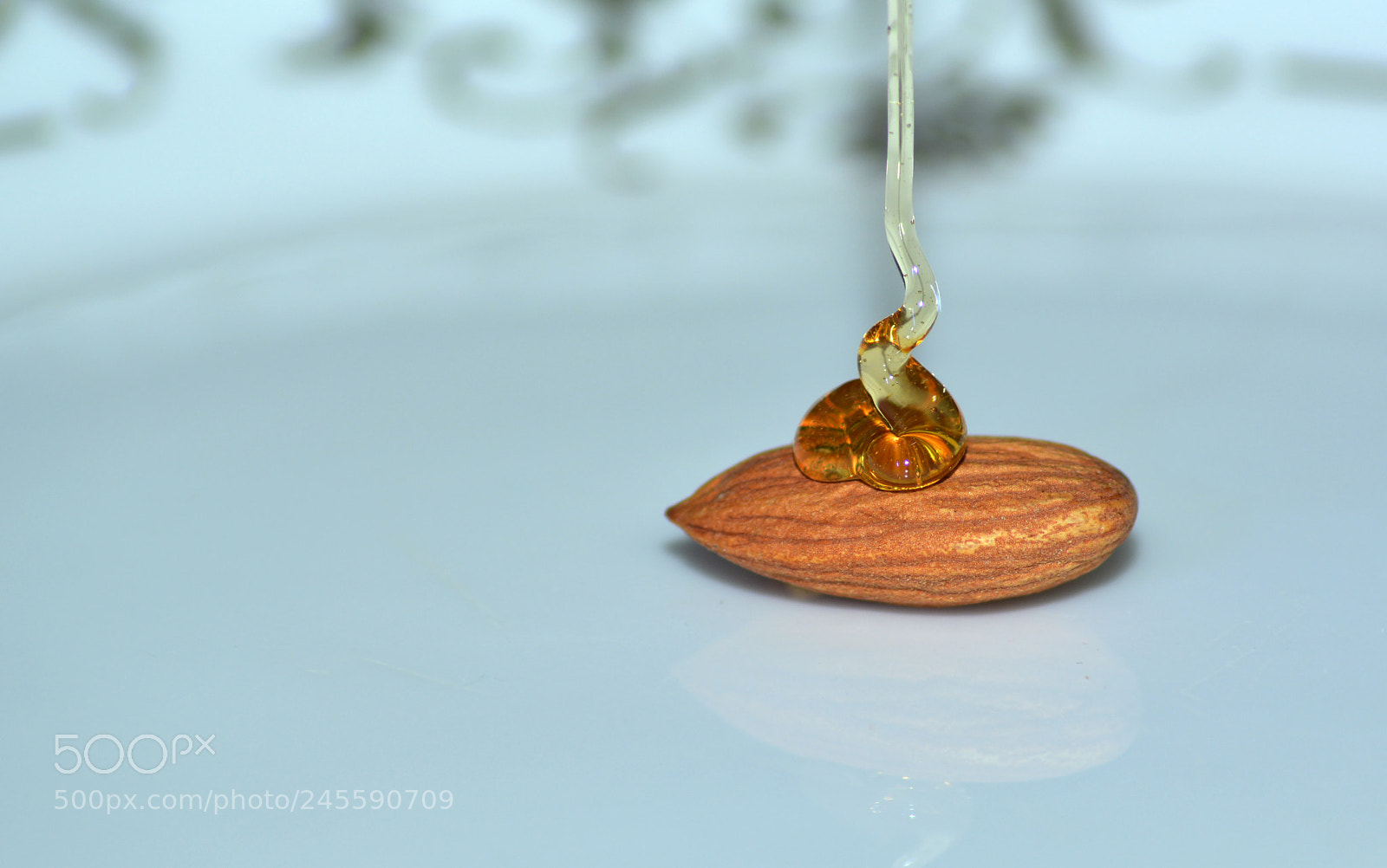 Nikon D5200 sample photo. Honey-almond photography