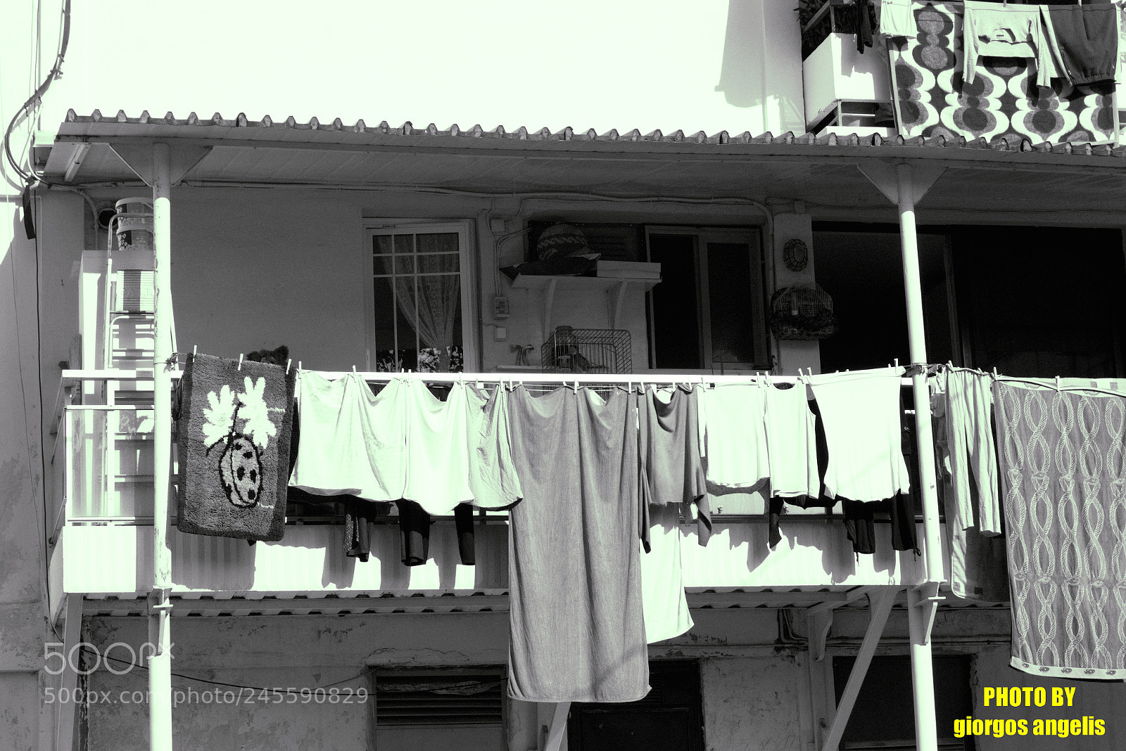 Sony SLT-A58 sample photo. Fotor photography