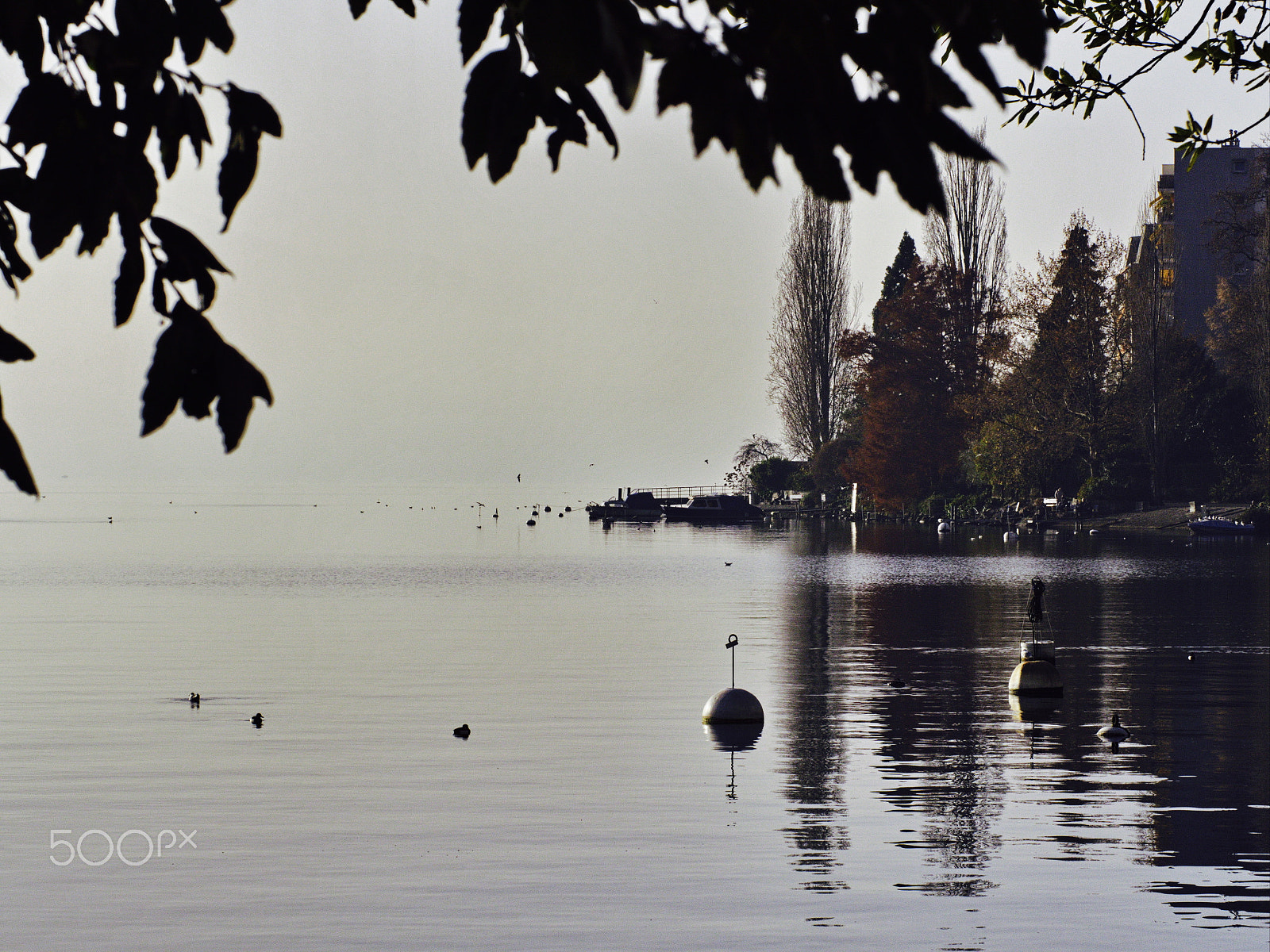 Panasonic Lumix DMC-GX8 sample photo. Winter colors in montreux photography