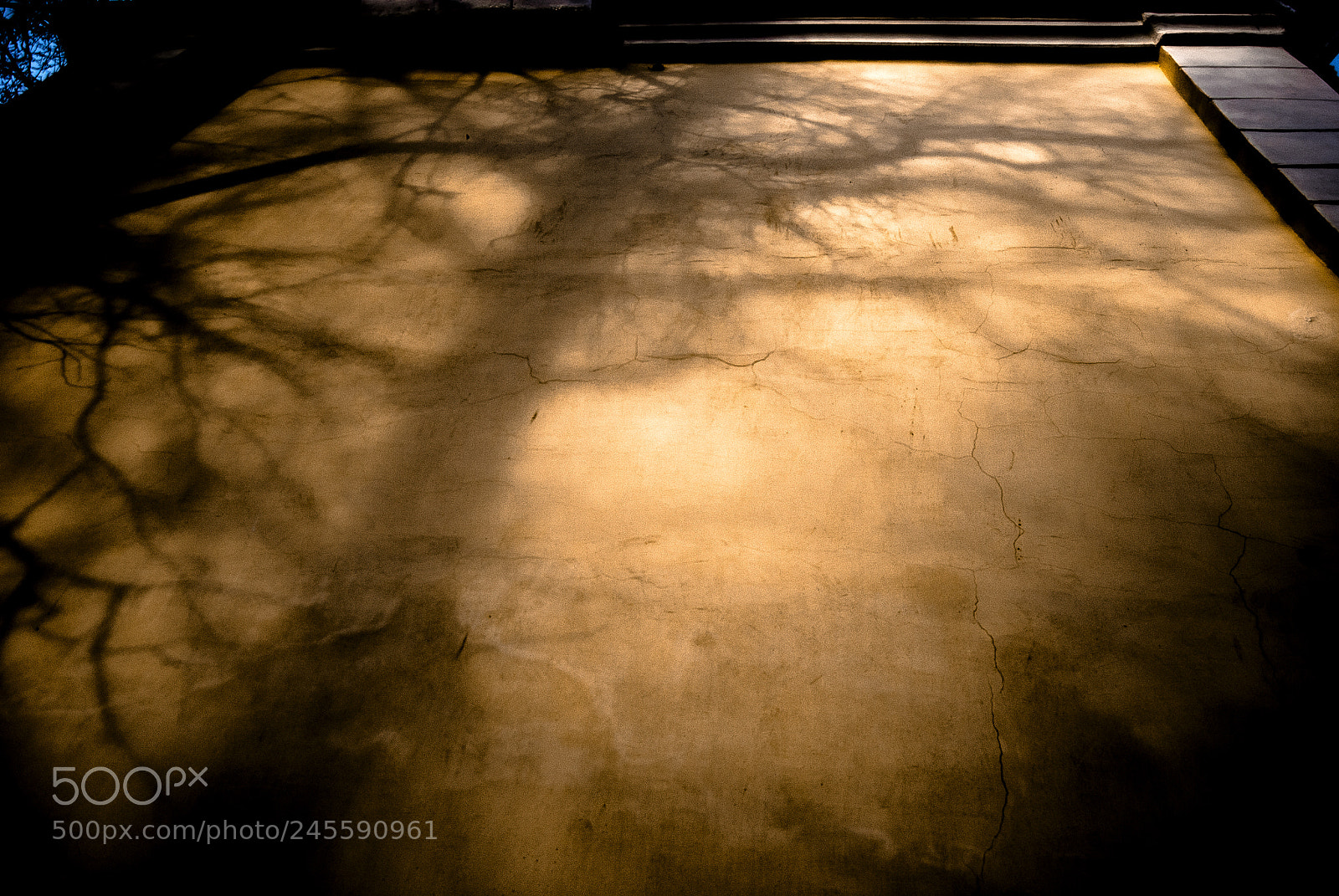 Nikon D3000 sample photo. Master of art photography