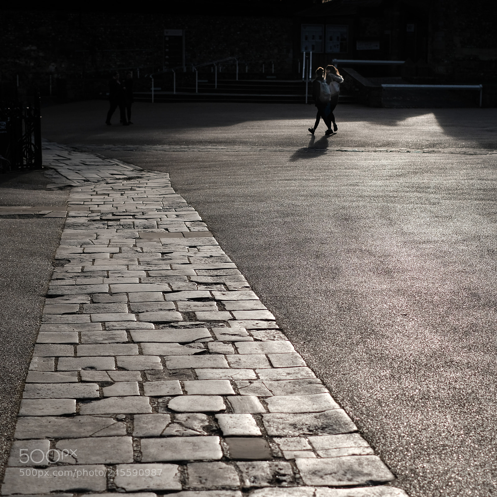 Fujifilm X-Pro2 sample photo. Striding out photography