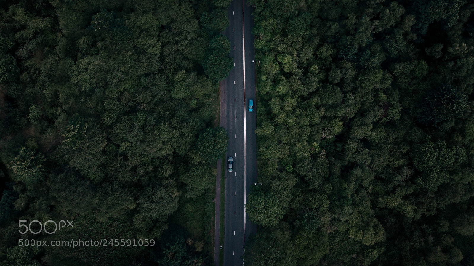 DJI FC220 sample photo. Through the woods photography
